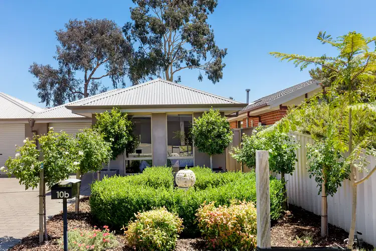 10b Harrison Street, Magill SA 5072