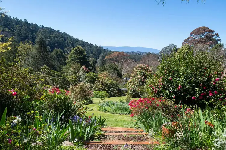 40 Oconnors Road, The Patch VIC 3792