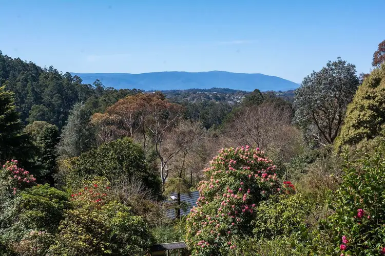 Sixth view of Homely house listing, 40 Oconnors Road, The Patch VIC 3792