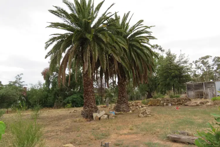 Second view of Homely rural property listing, 58 Commercial Road, Tarnagulla VIC 3551
