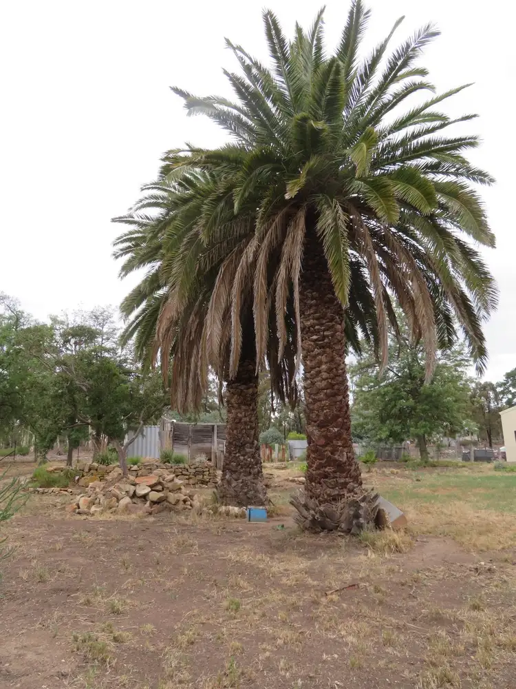 Third view of Homely rural property listing, 58 Commercial Road, Tarnagulla VIC 3551