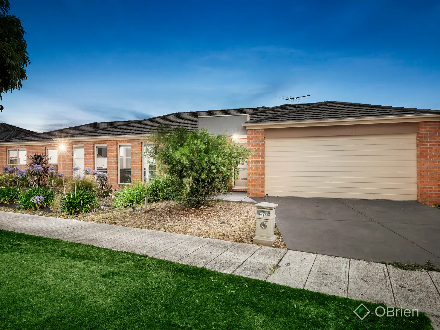 Main view of Homely house listing, 223 Paterson Drive, Lynbrook VIC 3975
