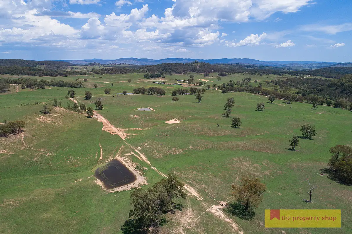 Main view of Homely rural property listing, 1390 Bara Road, Bara NSW 2850