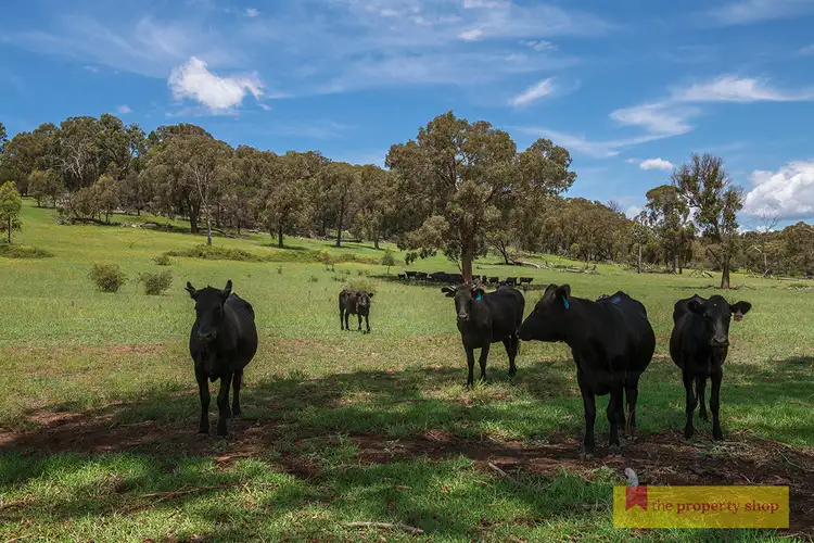 Second view of Homely rural property listing, 1390 Bara Road, Bara NSW 2850