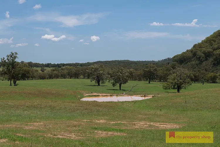 Third view of Homely rural property listing, 1390 Bara Road, Bara NSW 2850