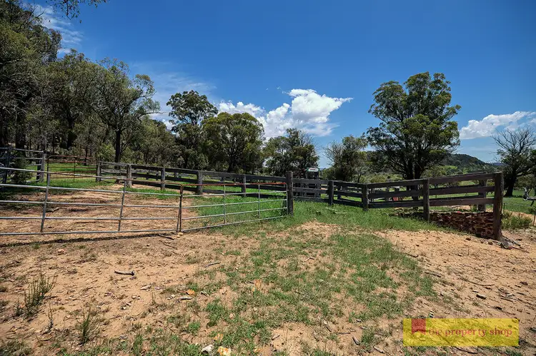 Fifth view of Homely rural property listing, 1390 Bara Road, Bara NSW 2850