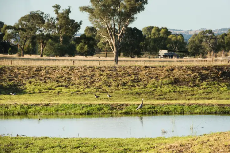 Main view of Homely land listing, LOT 38 Broadhead Road, Mudgee NSW 2850