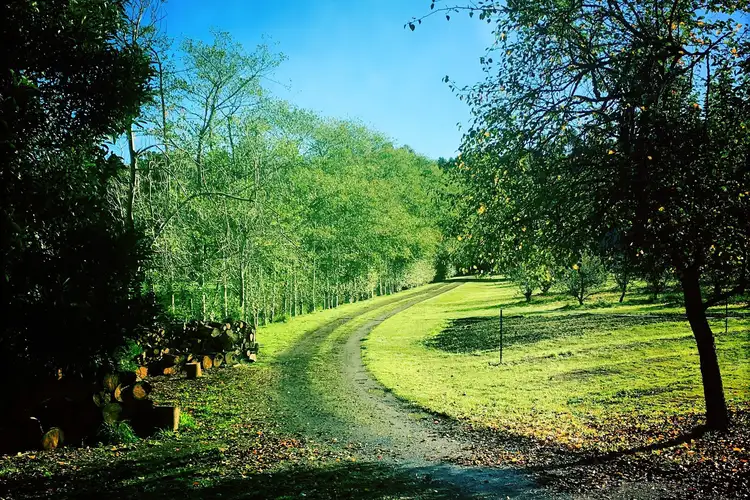Main view of Homely house listing, 520 Pennyroyal Valley Road, Pennyroyal VIC 3235