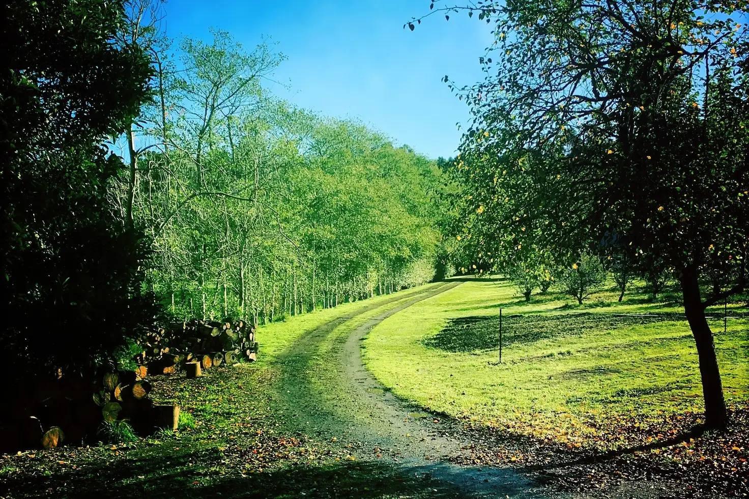 Main view of Homely house listing, 520 Pennyroyal Valley Road, Pennyroyal VIC 3235
