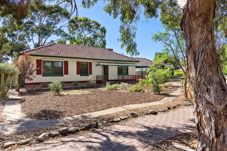 30 Day Avenue, Daw Park SA 5041