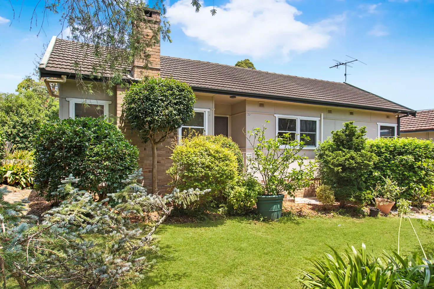 Main view of Homely house listing, 22 Colah Road, Mount Colah NSW 2079