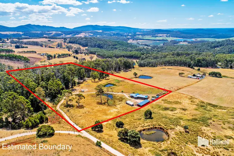 Fourth view of Homely rural property listing, 130 Maloneys Road, Sunnyside TAS 7305
