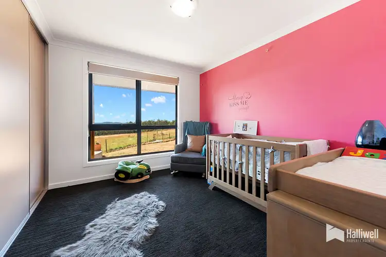 Fifth view of Homely rural property listing, 130 Maloneys Road, Sunnyside TAS 7305