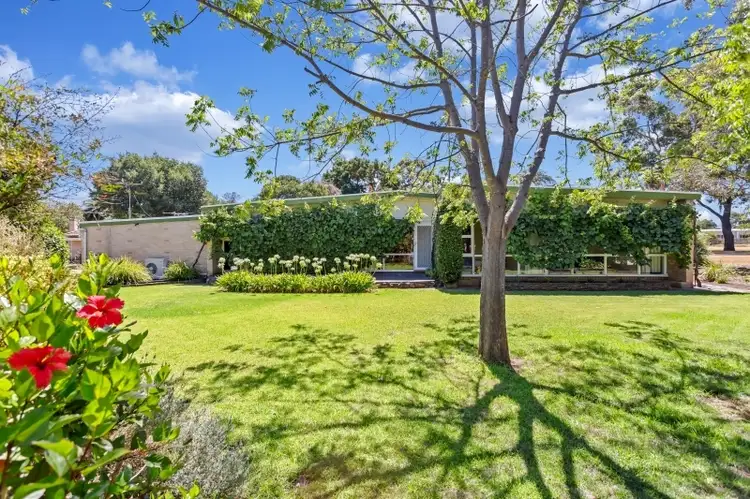 Main view of Homely house listing, 19 Clarence Avenue, Klemzig SA 5087