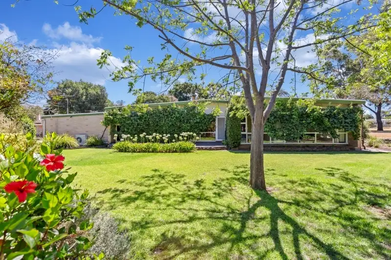 Main view of Homely house listing, 19 Clarence Avenue, Klemzig SA 5087