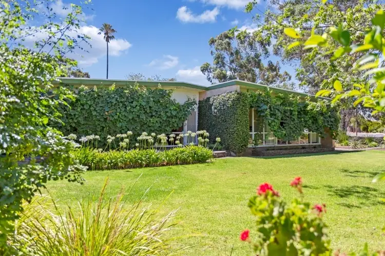 Third view of Homely house listing, 19 Clarence Avenue, Klemzig SA 5087