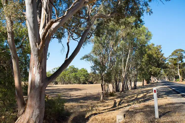 Fifth view of Homely land listing, 69A Lyons Street, Newstead VIC 3462