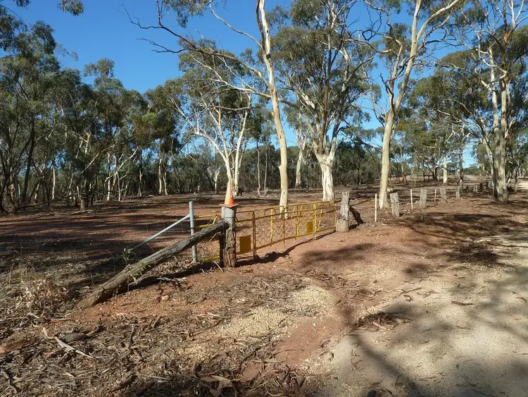Main view of Homely rural property listing, CA 19 Holts Lane, Wedderburn VIC 3518