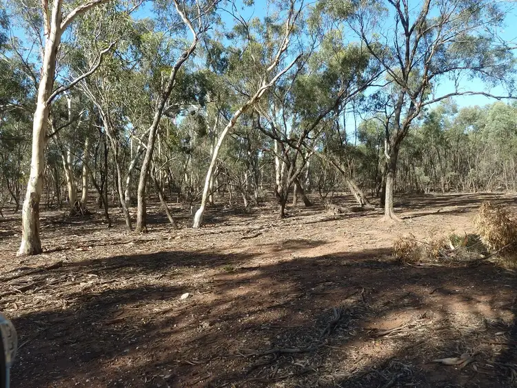 Fifth view of Homely rural property listing, CA 19 Holts Lane, Wedderburn VIC 3518