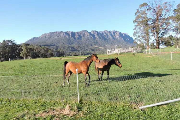 Third view of Homely house listing, 537 Claude Road, Sheffield TAS 7306