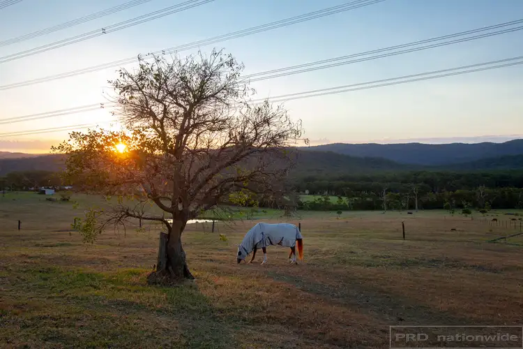 Third view of Homely rural property listing, 64 Valley Crest Road, Cooranbong NSW 2265