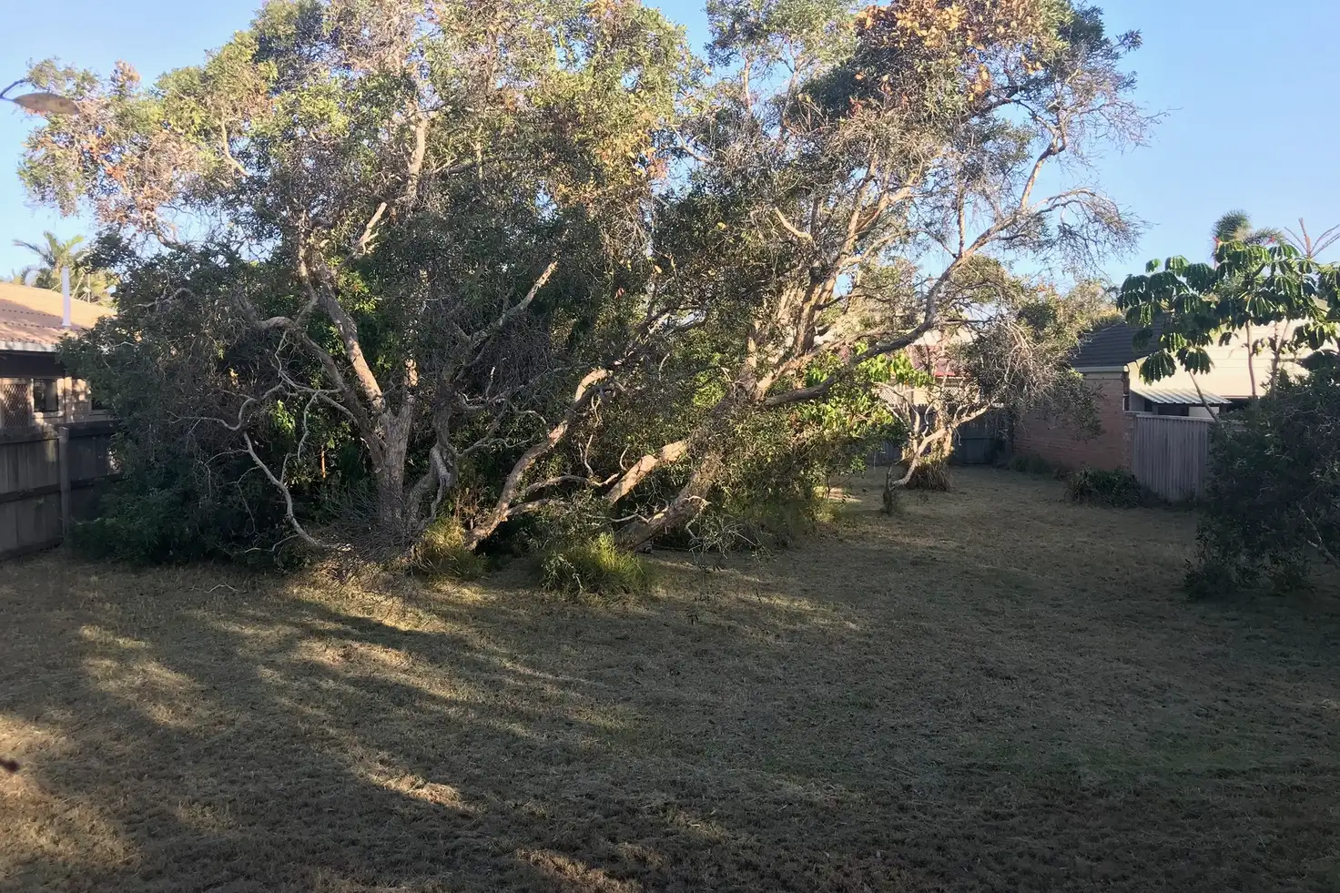 Main view of Homely land listing, 8 Petrie Avenue, Marcoola QLD 4564