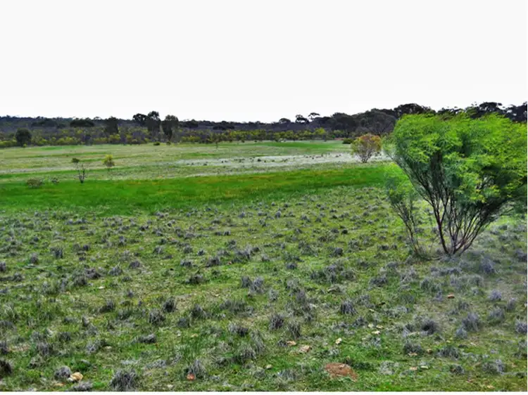 LOT 1 Wedderburn-Wychitella Road, Buckrabanyule VIC 3525
