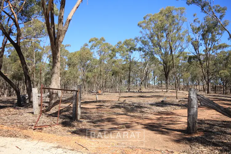 115 Proctors Lane, Bealiba VIC 3475