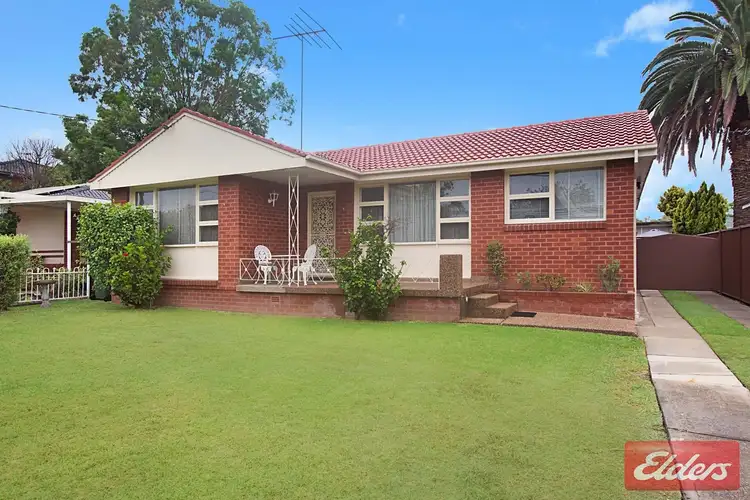 Main view of Homely house listing, 109 Fitzwilliam Road, Toongabbie NSW 2146