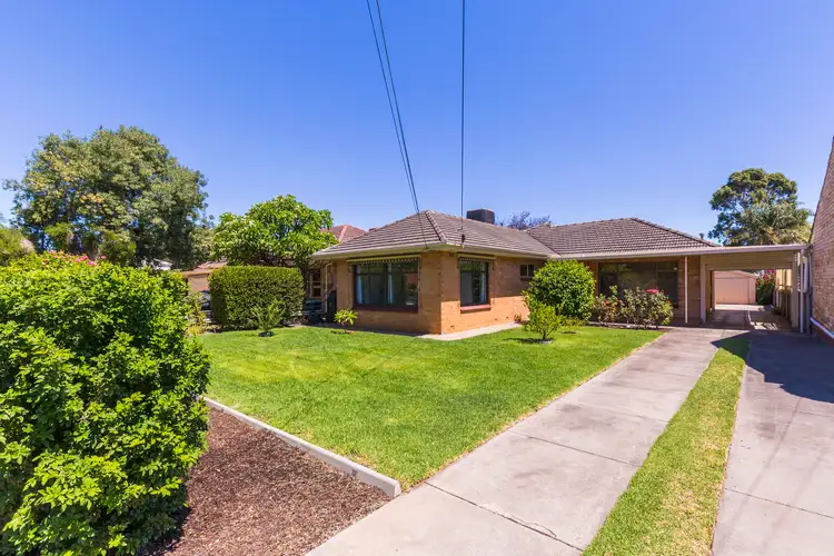 62 Winston Avenue, Clarence Gardens SA 5039