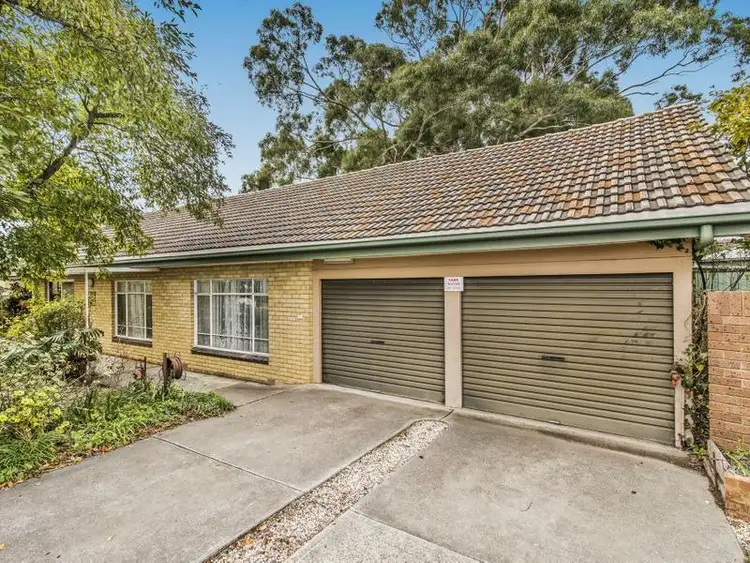 19 Curtin Street, Flora Hill VIC 3550