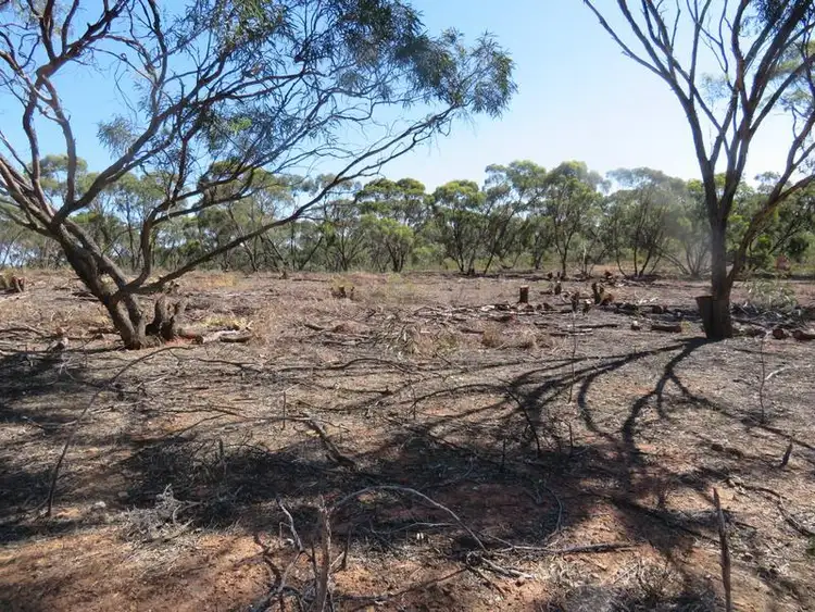 Fifth view of Homely rural property listing, Lot 23 Wallaby Way, Wedderburn VIC 3518