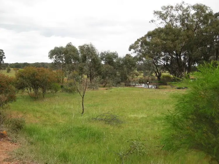Fifth view of Homely rural property listing, 136 Mitchell Lane, Wedderburn VIC 3518