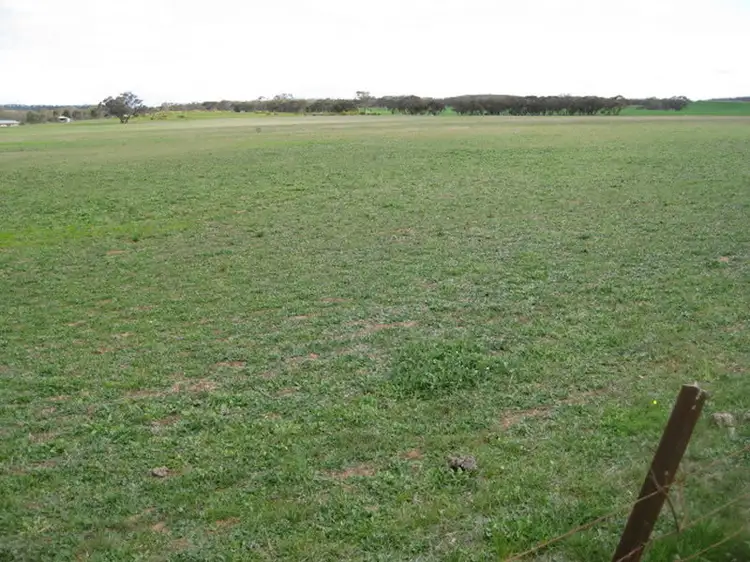 Main view of Homely rural property listing, Cnr & Maxwells Lane, Korong Vale VIC 3520