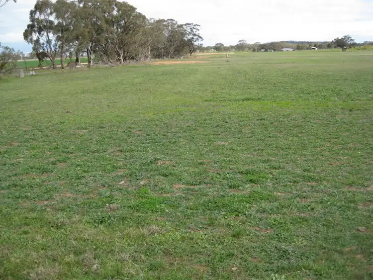 Fourth view of Homely rural property listing, Cnr & Maxwells Lane, Korong Vale VIC 3520