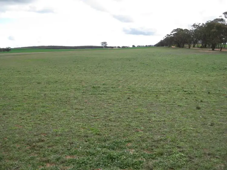 Fifth view of Homely rural property listing, Cnr & Maxwells Lane, Korong Vale VIC 3520