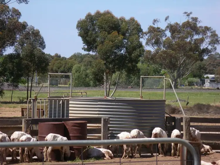 Fourth view of Homely land listing, 140 Robertson Road, Raywood VIC 3570