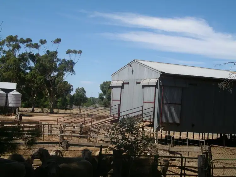 Fifth view of Homely land listing, 140 Robertson Road, Raywood VIC 3570