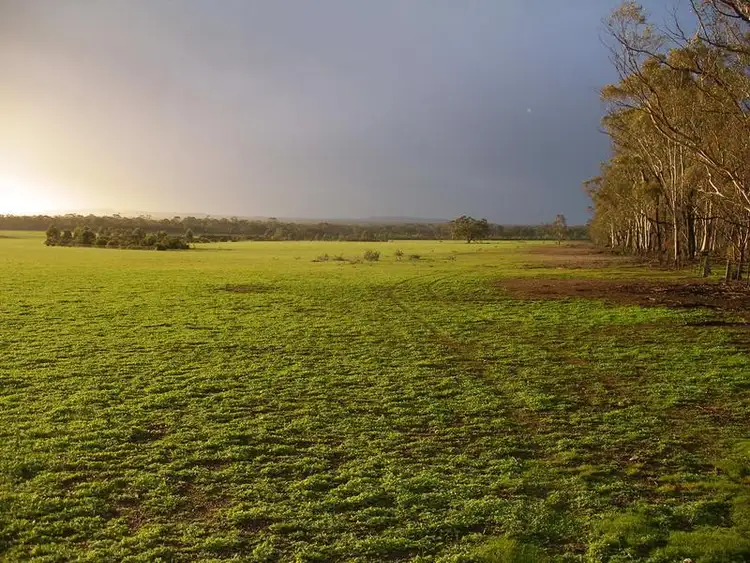 Sixth view of Homely land listing, 3000 St Arnaud Road, Tarnagulla VIC 3551