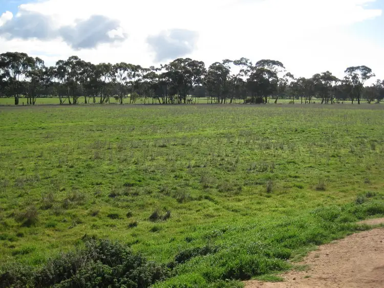 Fourth view of Homely rural property listing, CA 49 & 49 Harpers Lane, Wedderburn VIC 3518