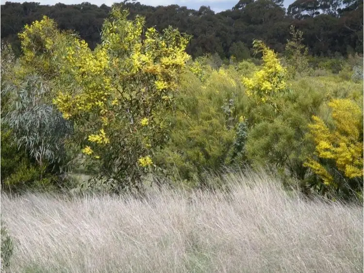Second view of Homely land listing, L1 Calder Highway, Woosang VIC 3518