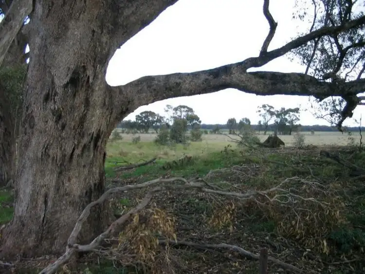Fourth view of Homely land listing, Diagonal Road, Newbridge VIC 3551