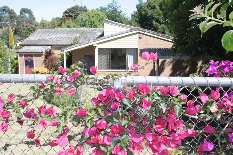 29 Stafford Street, Mount Gambier SA 5290