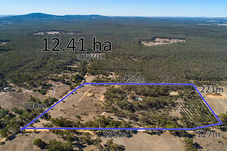 Main view of Homely house listing, 19 Omega Reef Road, Newstead VIC 3462