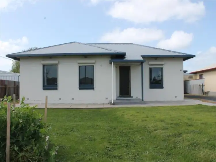Main view of Homely house listing, 24 Williams Road, Millicent SA 5280