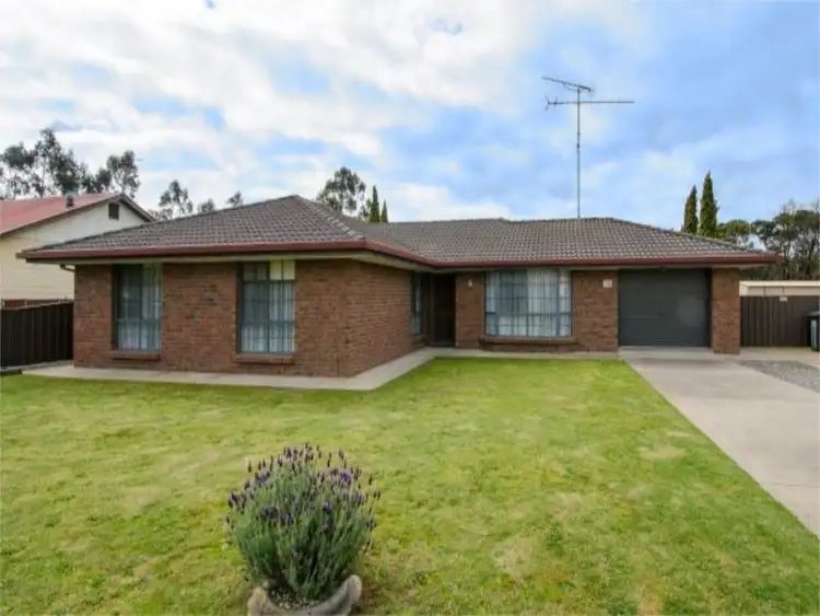 Second view of Homely house listing, 16 Arthur Street, Tarpeena SA 5277