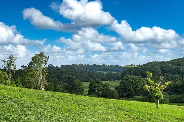 Third view of Homely land listing, 331 Binna Burra Road, Binna Burra NSW 2479