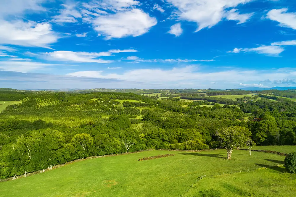 Main view of Homely rural property listing, LOT 4 Booyong Road, Booyong NSW 2480