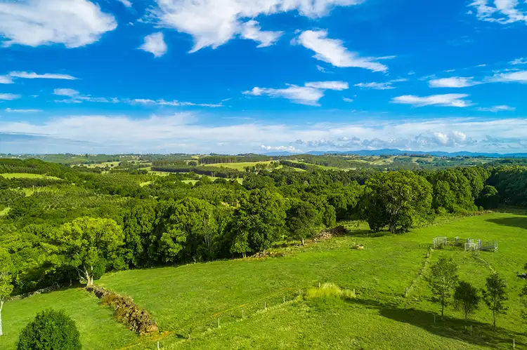 Fourth view of Homely rural property listing, LOT 4 Booyong Road, Booyong NSW 2480