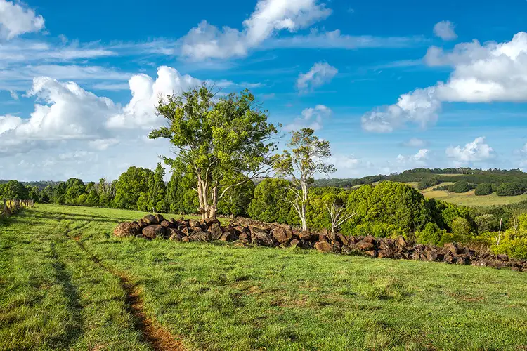 Fifth view of Homely rural property listing, LOT 4 Booyong Road, Booyong NSW 2480